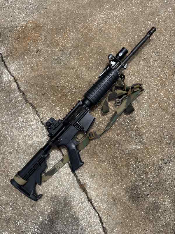 Bushmaster Partol